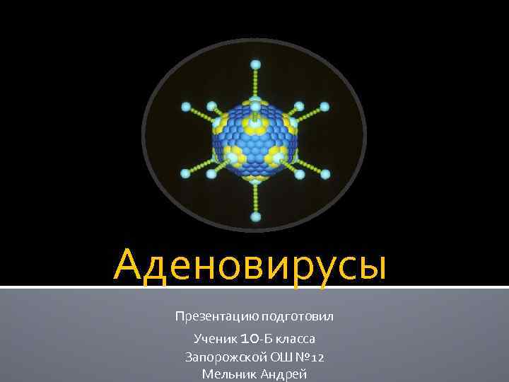 Аденовирусы Презентацию подготовил Ученик 10 -Б класса Запорожской ОШ № 12 Мельник Андрей 