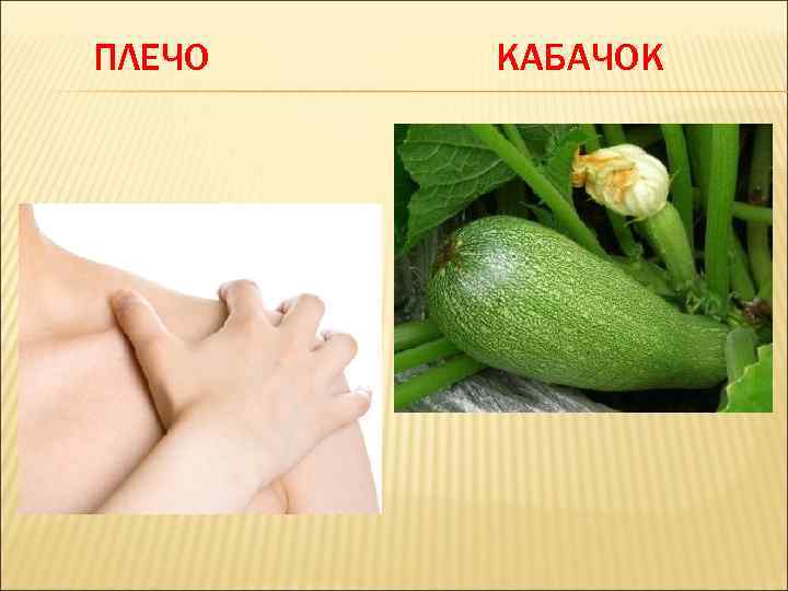 ПЛЕЧО КАБАЧОК 