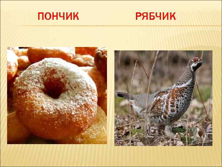 ПОНЧИК РЯБЧИК 