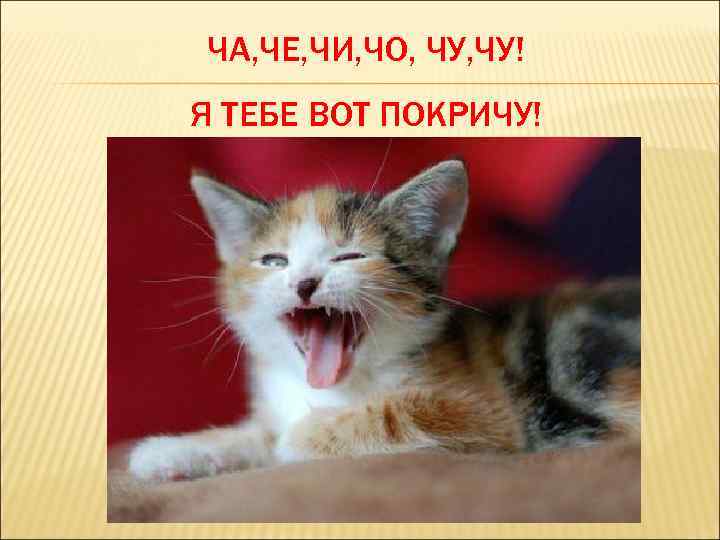 ЧА, ЧЕ, ЧИ, ЧО, ЧУ! Я ТЕБЕ ВОТ ПОКРИЧУ! 