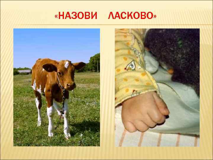  «НАЗОВИ ЛАСКОВО» 