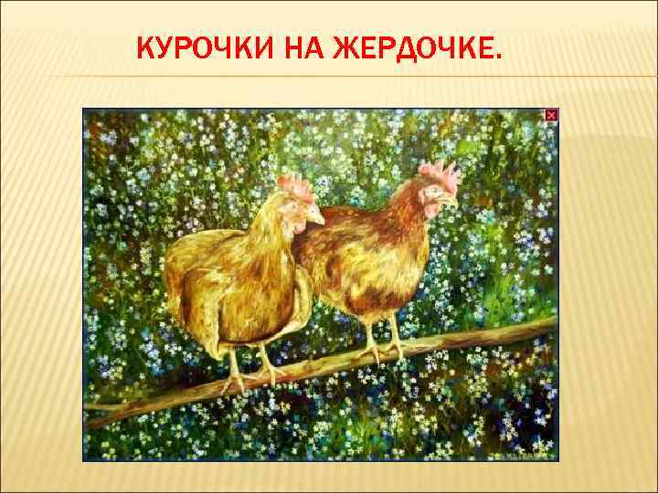 КУРОЧКИ НА ЖЕРДОЧКЕ. 
