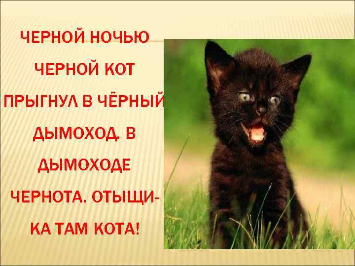ЧЕРНОЙ НОЧЬЮ ЧЕРНОЙ КОТ ПРЫГНУЛ В ЧЁРНЫЙ ДЫМОХОД. В ДЫМОХОДЕ ЧЕРНОТА. ОТЫЩИКА ТАМ КОТА!