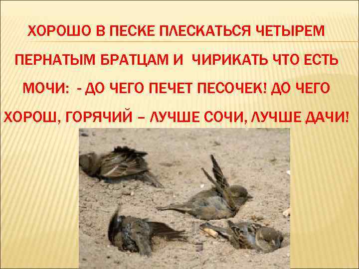 ХОРОШО В ПЕСКЕ ПЛЕСКАТЬСЯ ЧЕТЫРЕМ ПЕРНАТЫМ БРАТЦАМ И ЧИРИКАТЬ ЧТО ЕСТЬ МОЧИ: - ДО