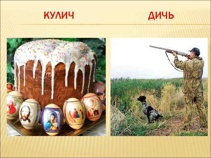 КУЛИЧ ДИЧЬ 