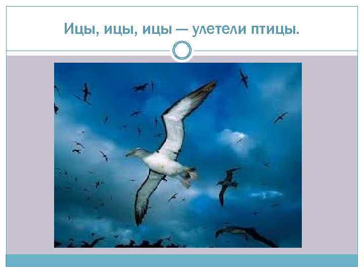 Ицы, ицы — улетели птицы. 