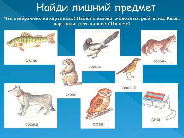 Найди лишний предмет Что изображено на картинках? Найди и назови животных, рыб, птиц. Какая