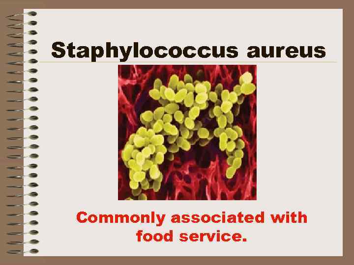 Staphylococcus aureus Commonly associated with food service. 