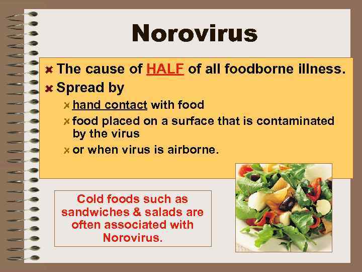 Norovirus The cause of HALF of all foodborne illness. Spread by hand contact with
