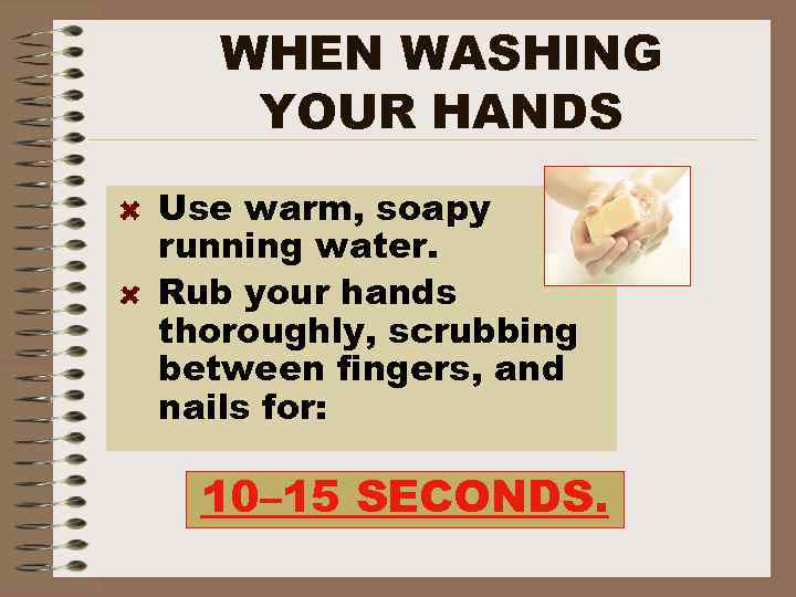 WHEN WASHING YOUR HANDS Use warm, soapy running water. Rub your hands thoroughly, scrubbing