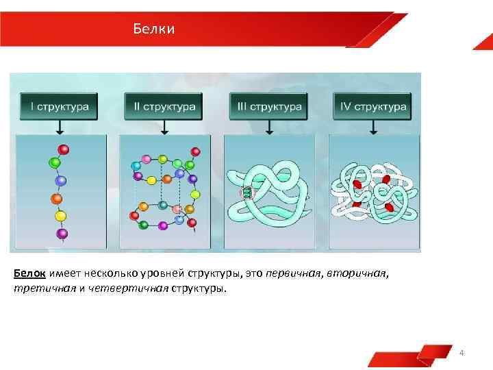 Рассмотрите схему участка первичной структуры молекулы. Структура молекулы белка первичная вторичная третичная четвертичная. Строение белка первичная вторичная третичная четвертичная. Связи в первичной вторичной третичной и четвертичной структуре белка. Уровень организации белков первичная структура белков.