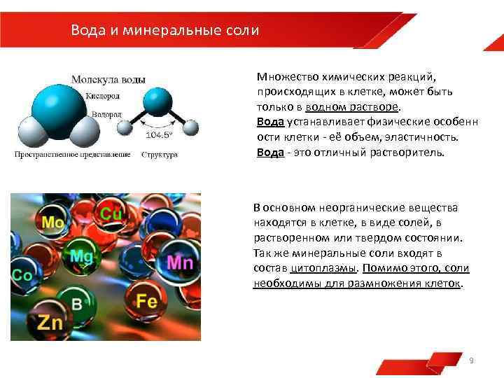 Минеральные соли ферменты. Вода и Минеральные соли. Вода ми Минеральные соли. Строение Минеральных солей.