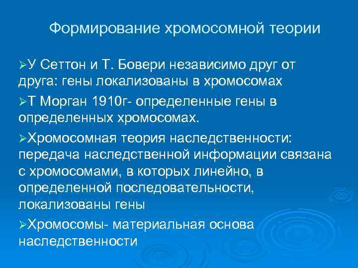 Хромосомная теория презентация