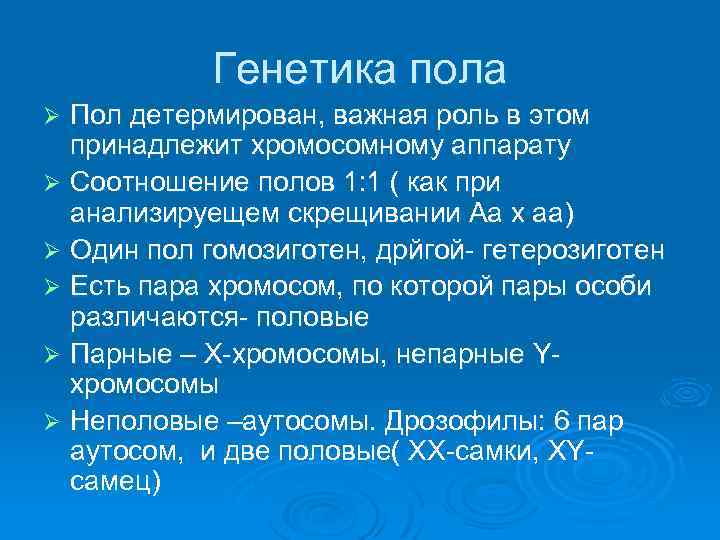 Генетика пола Пол детермирован, важная роль в этом принадлежит хромосомному аппарату Ø Соотношение полов