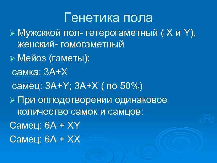 Что такое гомогаметный и гетерогаметный пол. Пол генетика гомогаметный и гетерогаметный. Гетерогаметный пол хромосомы. Женский пол гетерогаметный, мужской пол гомогаметный. Гетерогаметный пол это в генетике.