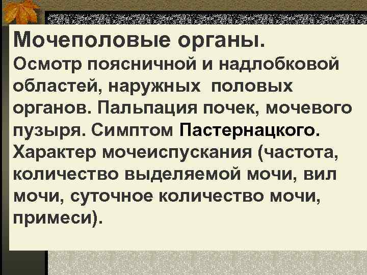 Мочеполовые органы. Осмотр поясничной и надлобковой областей, наружных половых органов. Пальпация почек, мочевого пузыря.