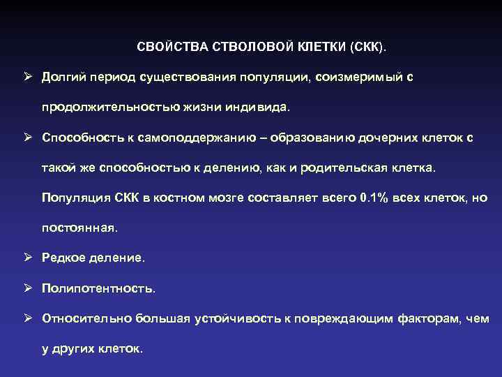 СВОЙСТВА СТВОЛОВОЙ КЛЕТКИ (СКК). Ø Долгий период существования популяции, соизмеримый с продолжительностью жизни индивида.