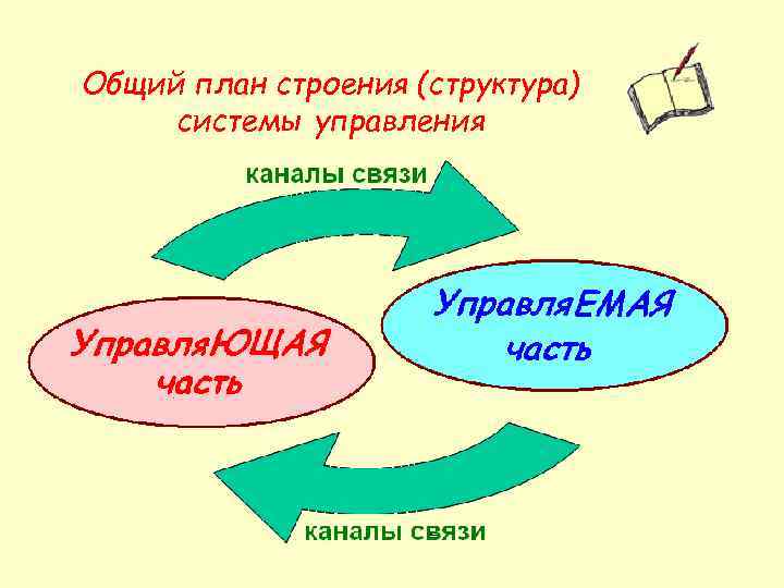 Общий план строения