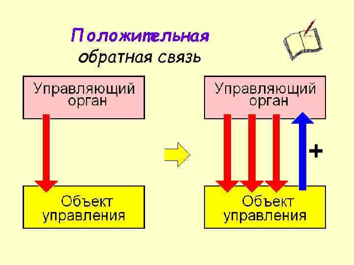 Положительная связь