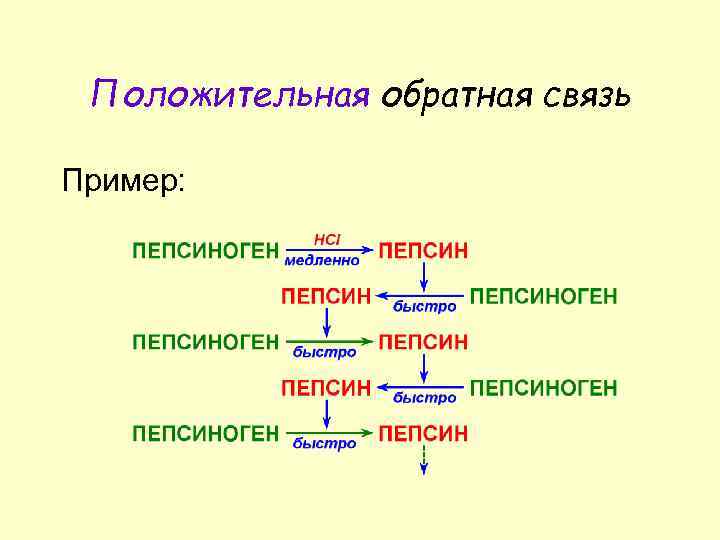 Положительная обратная связь Пример: 