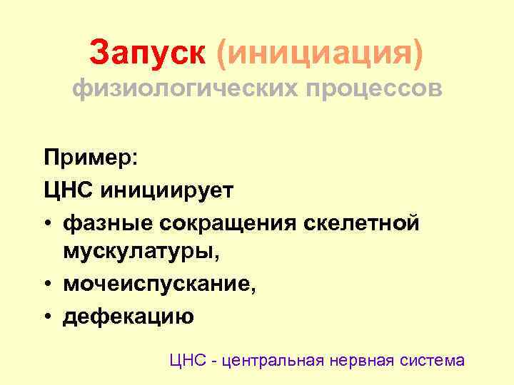 Запуск (инициация) физиологических процессов Пример: ЦНС инициирует • фазные сокращения скелетной мускулатуры, • мочеиспускание,