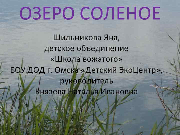 ОЗЕРО СОЛЕНОЕ Шильникова Яна, детское объединение «Школа вожатого» БОУ ДОД г. Омска «Детский Эко.