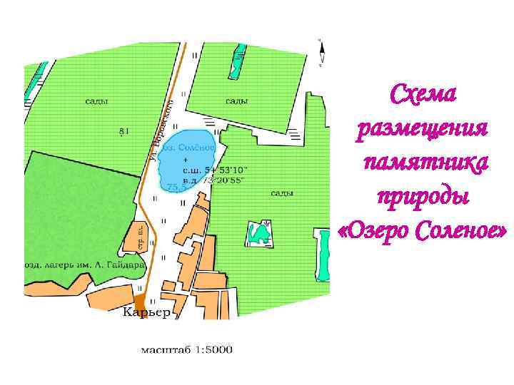 Схема размещения памятника природы «Озеро Соленое» 