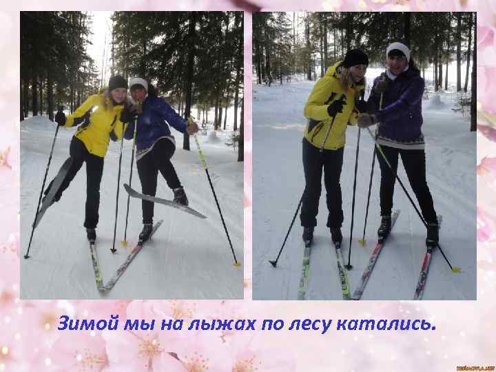 Зимой мы на лыжах по лесу катались. 