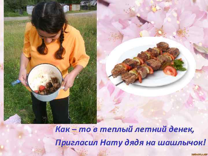 Как – то в теплый летний денек, Пригласил Нату дядя на шашлычок! 