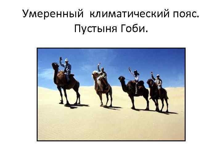 Умеренный климатический пояс. Пустыня Гоби. 