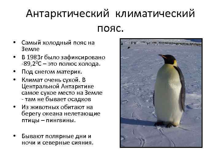 Антарктический климатический пояс. • Самый холодный пояс на Земле • В 1983 г было