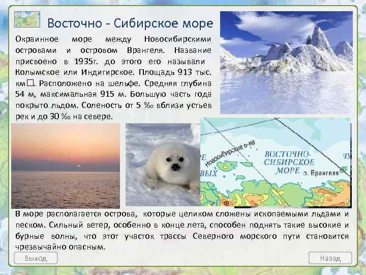Восточно - Сибирское море Окраинное море между Новосибирскими островами и островом Врангеля. Название присвоено