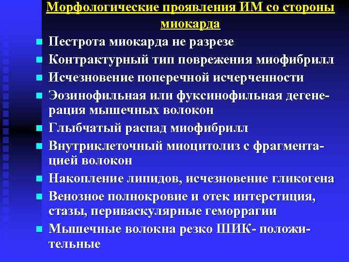 Морфологические проявления ИМ со стороны миокарда n Пестрота миокарда не разрезе n Контрактурный тип