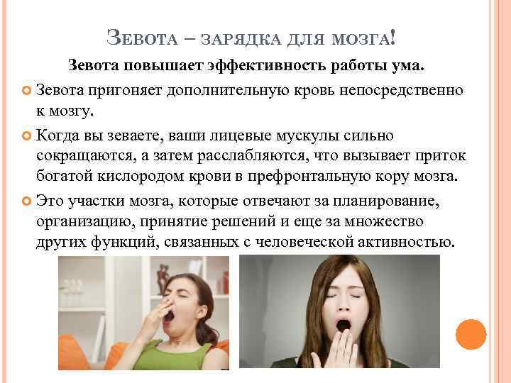 ЗЕВОТА – ЗАРЯДКА ДЛЯ МОЗГА! Зевота повышает эффективность работы ума. Зевота пригоняет дополнительную кровь
