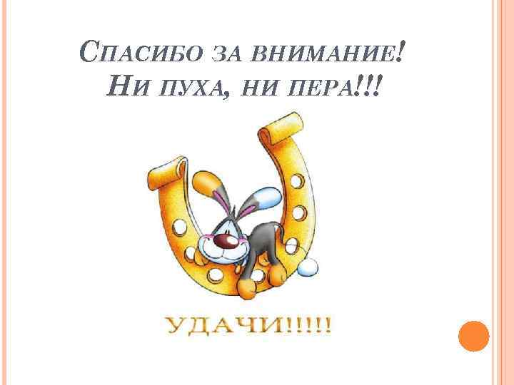 СПАСИБО ЗА ВНИМАНИЕ! НИ ПУХА, НИ ПЕРА!!! 