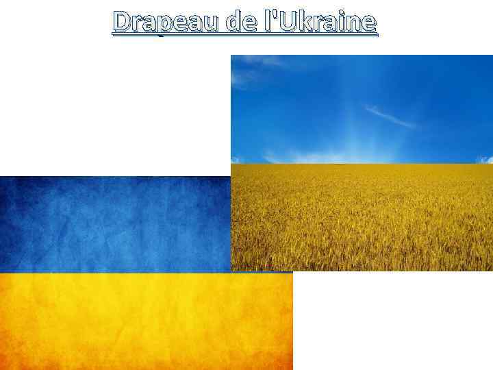 Drapeau de l'Ukraine 