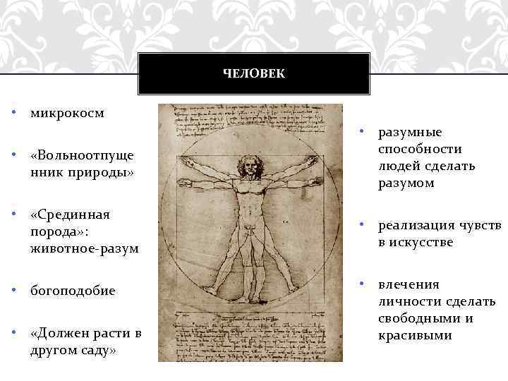 ЧЕЛОВЕК • микрокосм • «Вольноотпуще нник природы» • разумные способности людей сделать разумом •