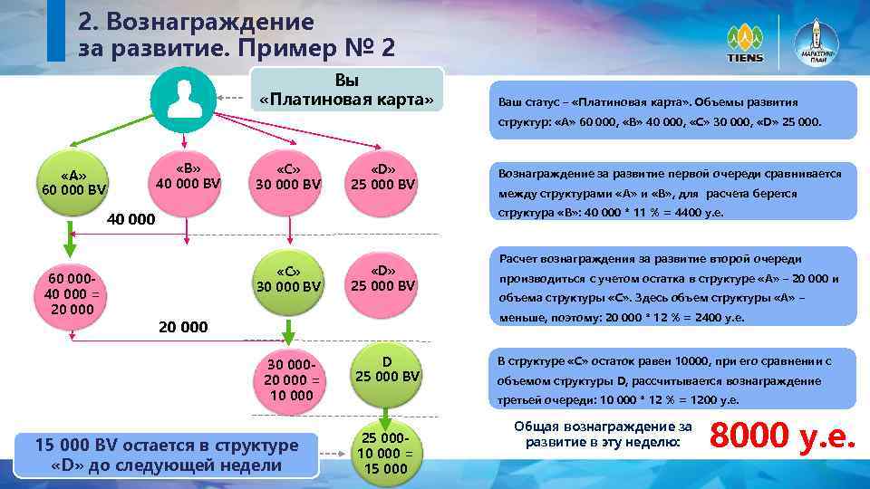 Маркетинг тяньши маркетинг план