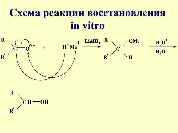 Схема реакции восстановления in vitro Li. Al. H 4 