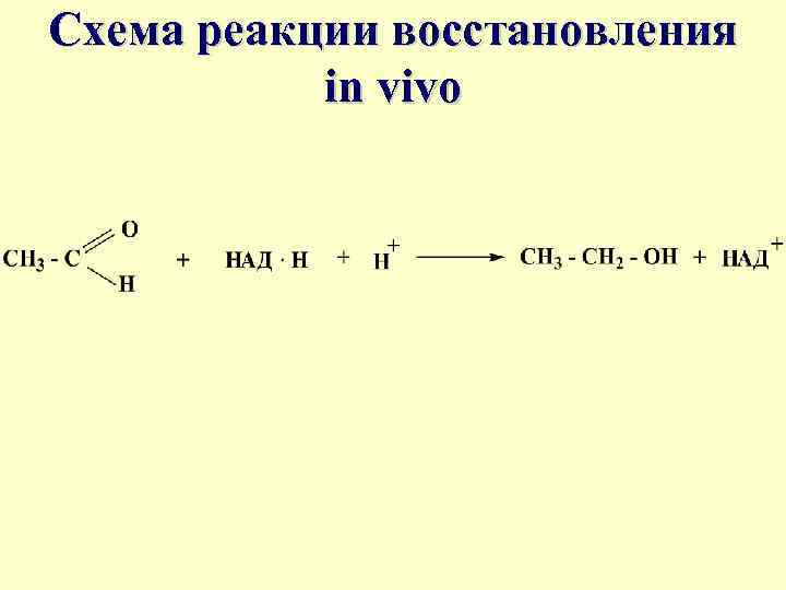 Схема реакции восстановления in vivo 