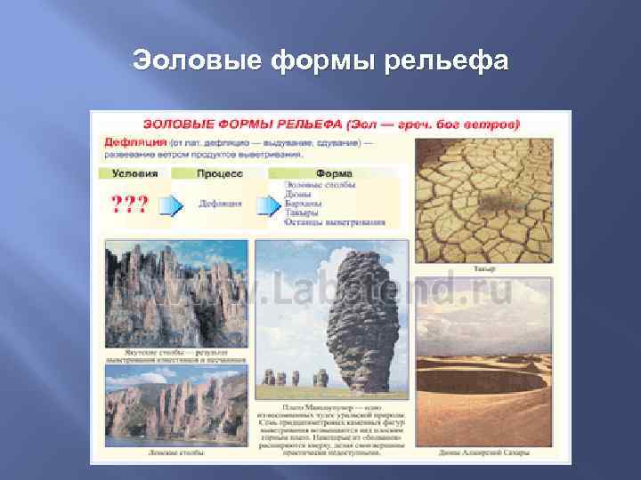 Эоловые формы рельефа 