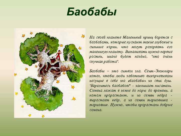 Баобабы На своей планете Маленький принц борется с баобабами, которые пускают такие глубокие и