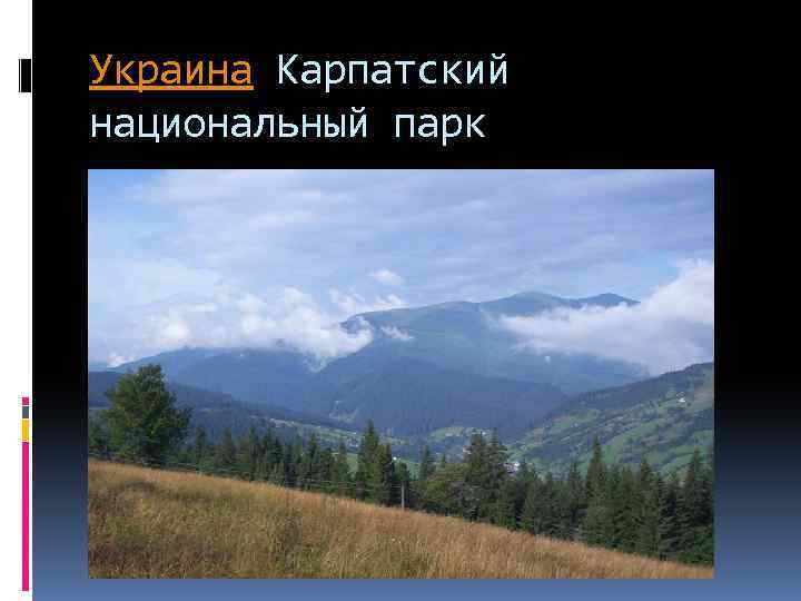 Украина Карпатский национальный парк 