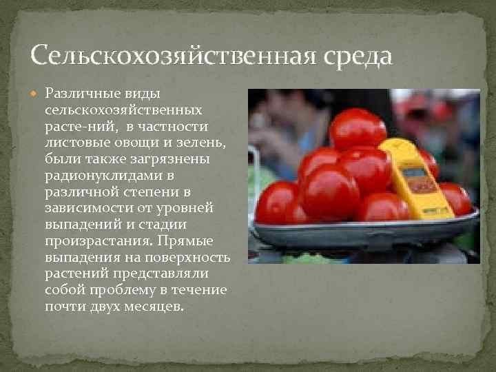 Сельскохозяйственная среда Различные виды сельскохозяйственных расте-ний, в частности листовые овощи и зелень, были также