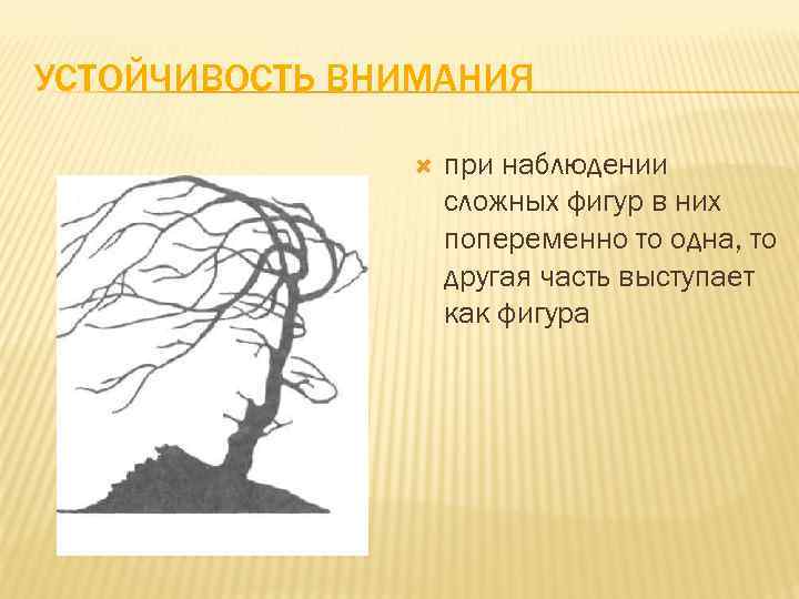 Устойчивость внимания. Устойчивость внимания картинки. Устойчивость внимания человека. Устойчивость внимания это в психологии.