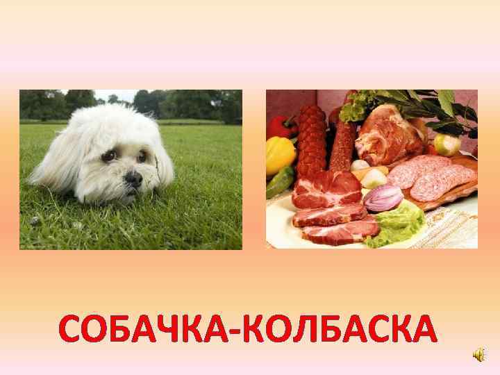 СОБАЧКА-КОЛБАСКА 