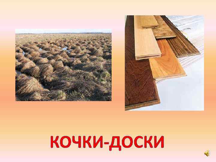 КОЧКИ-ДОСКИ 