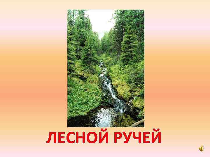 ЛЕСНОЙ РУЧЕЙ 