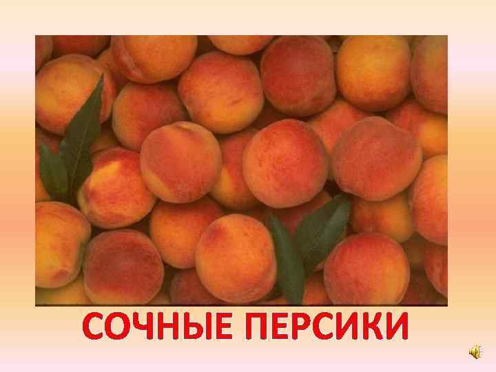 СОЧНЫЕ ПЕРСИКИ 