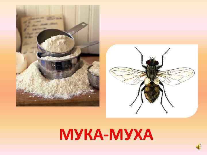 МУКА-МУХА 